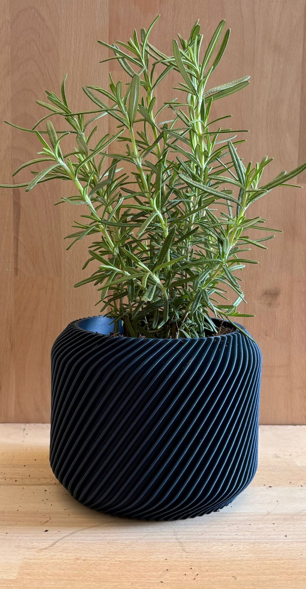 Vaso cilindrico con decorazione esterna a coste