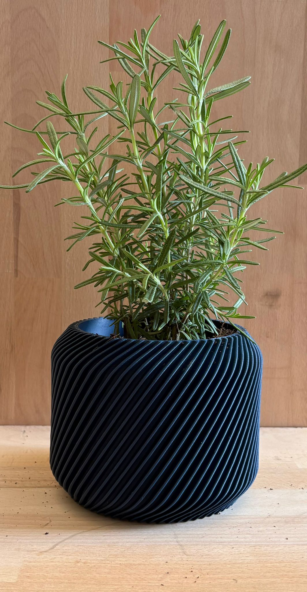 Vaso cilindrico con decorazione esterna a coste
